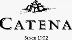 catena-logo image catena logo