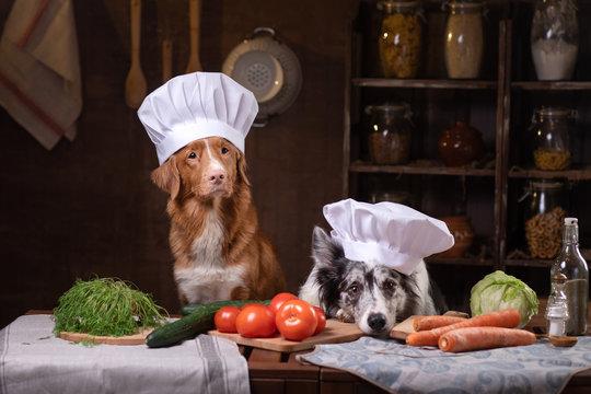 chefs 2 dogs